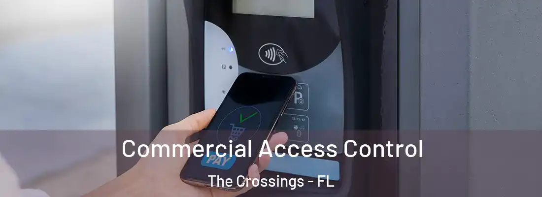 Commercial Access Control The Crossings - FL