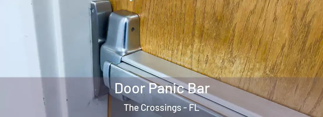 Door Panic Bar The Crossings - FL