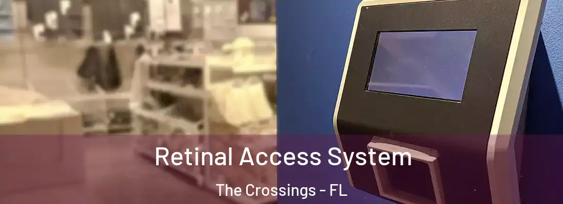 Retinal Access System The Crossings - FL