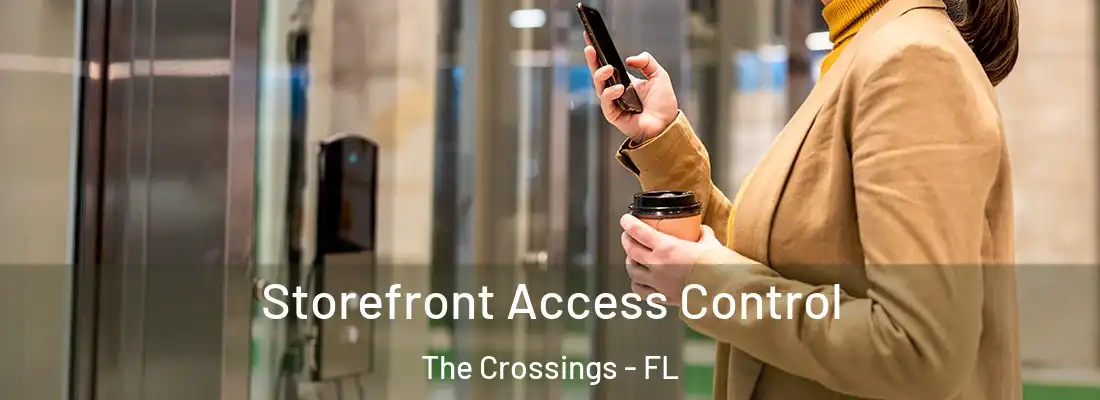 Storefront Access Control The Crossings - FL